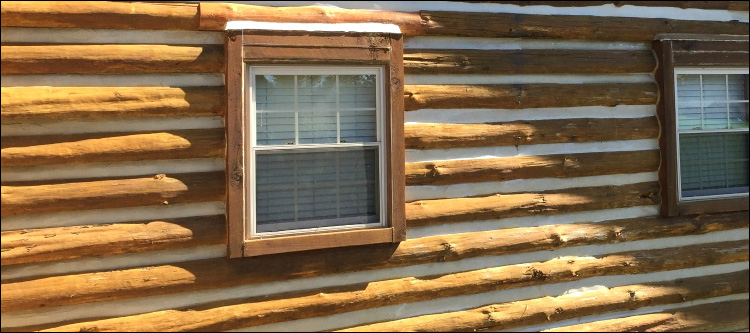 Log Home Whole Log Replacement  Lynchburg City, Virginia